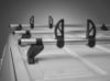 Picture of Rhino 5 KammBar Fleet Steel Roof Bars and 4 free load stops for Renault Master 2024-Onwards | L3 | H2 | Twin Rear Doors | QD5FL