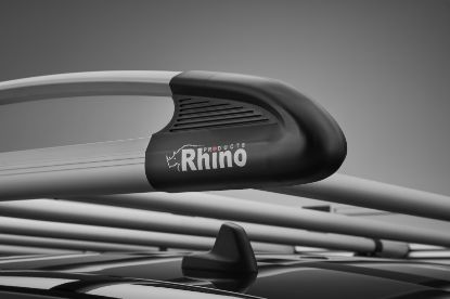 kammrack with rhino logo