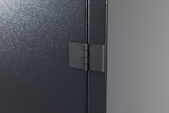 security-hinge