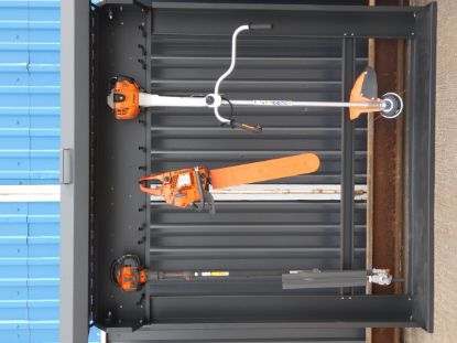 in-situ-loaded