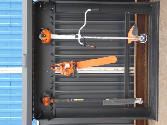in-situ-loaded