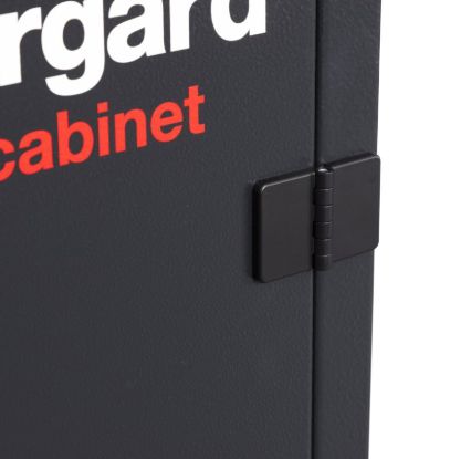 security-hinge